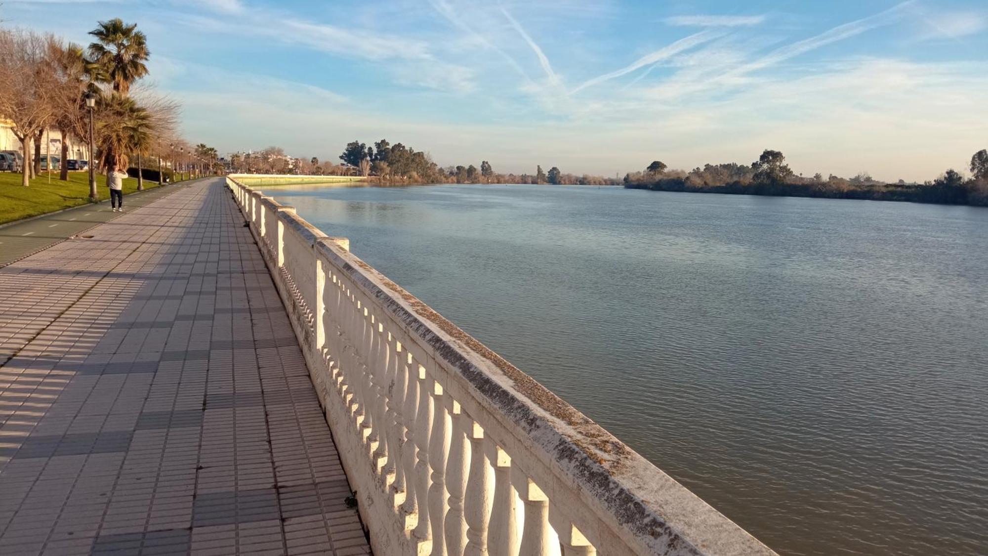 Habitacion Amplia Y Luminosa Coria del Río Eksteriør billede